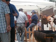 2016 06 04 ET 05 N.D. SANTA CRUZ A DALIAS (ALMERIA)   (207)